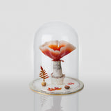 The Healers I (mushroom dome) by Verity Pulford