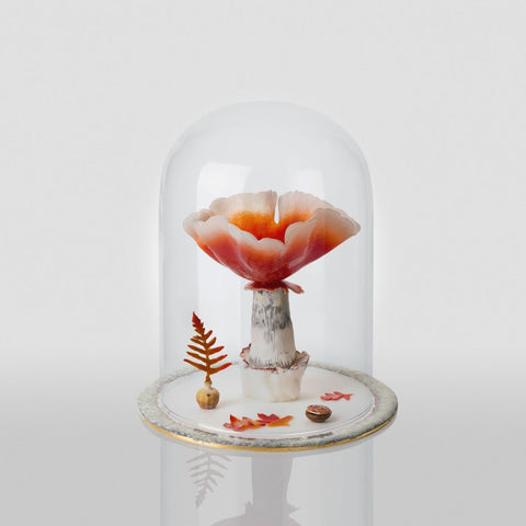 The Healers I (mushroom dome) by Verity Pulford