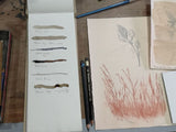 Drawing with Nature with Amanda Blake (28th March)