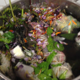 Natural Dye on Fabric (Sunday 19th July 2026)