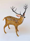 Stag by Suzanne Breakwell