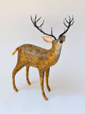 Stag by Suzanne Breakwell