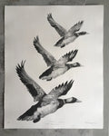 Tair Hwyaden / Three Ducks by Marian Haf