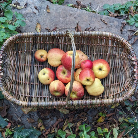 Weave a garden trug with Clare Revera (16 March)